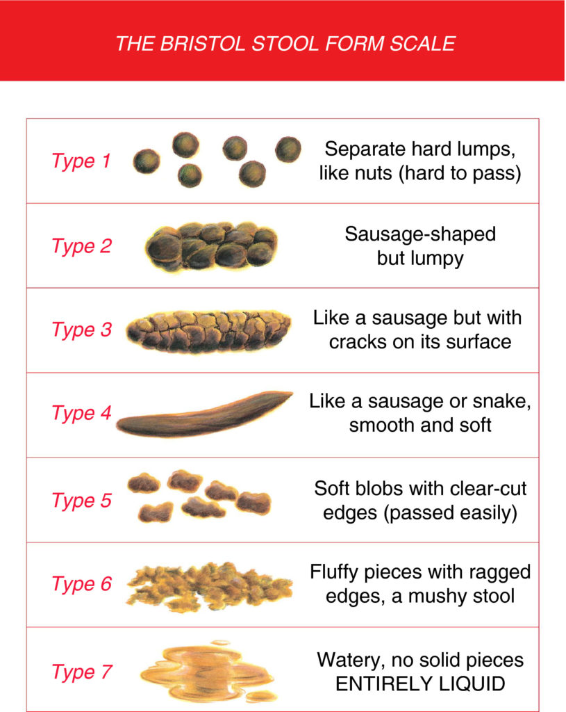 Is Your Poo Normal? MothersBabies